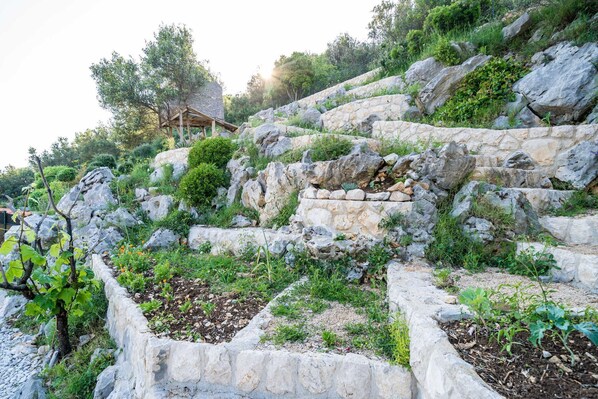 Terrain de l’hébergement 