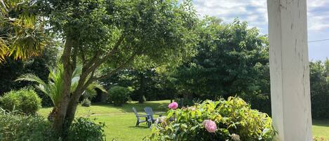 Àrea exterior de l'allotjament