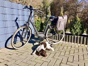 Property grounds - Ferienwohnung Bed and Bike, 1-4 Pers (Rheine)