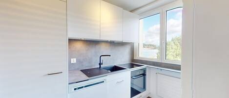 Fridge, oven, stovetop, dishwasher