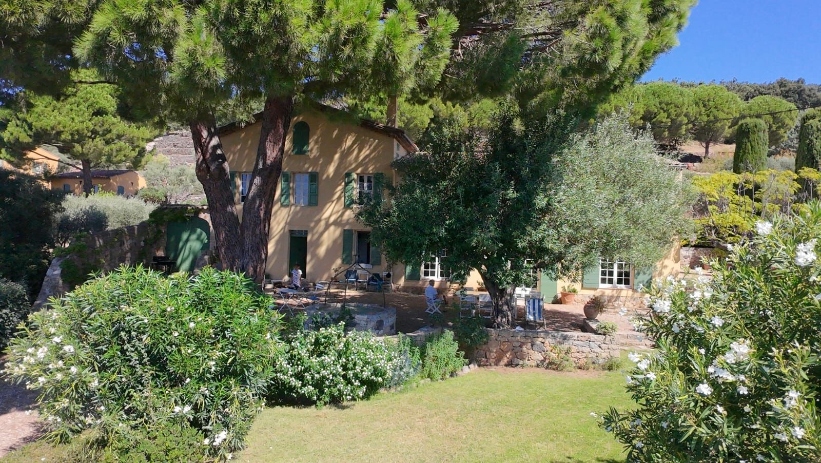 A building with a stone wall, outdoor seating, and a large tree in the foreground.
