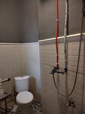 Un bagno con il water, una doccia e un asciugamani ad aria.