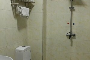 Une salle de bain équipée d’une douche, de toilettes et d’un porte-serviettes.