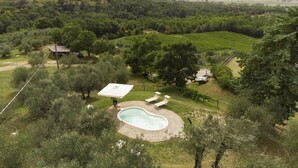 An outdoor swimming pool surrounded by trees and a grassy area with lounge chairs. - Fontesecca in Citt Della Pieve (Citta della Pieve)