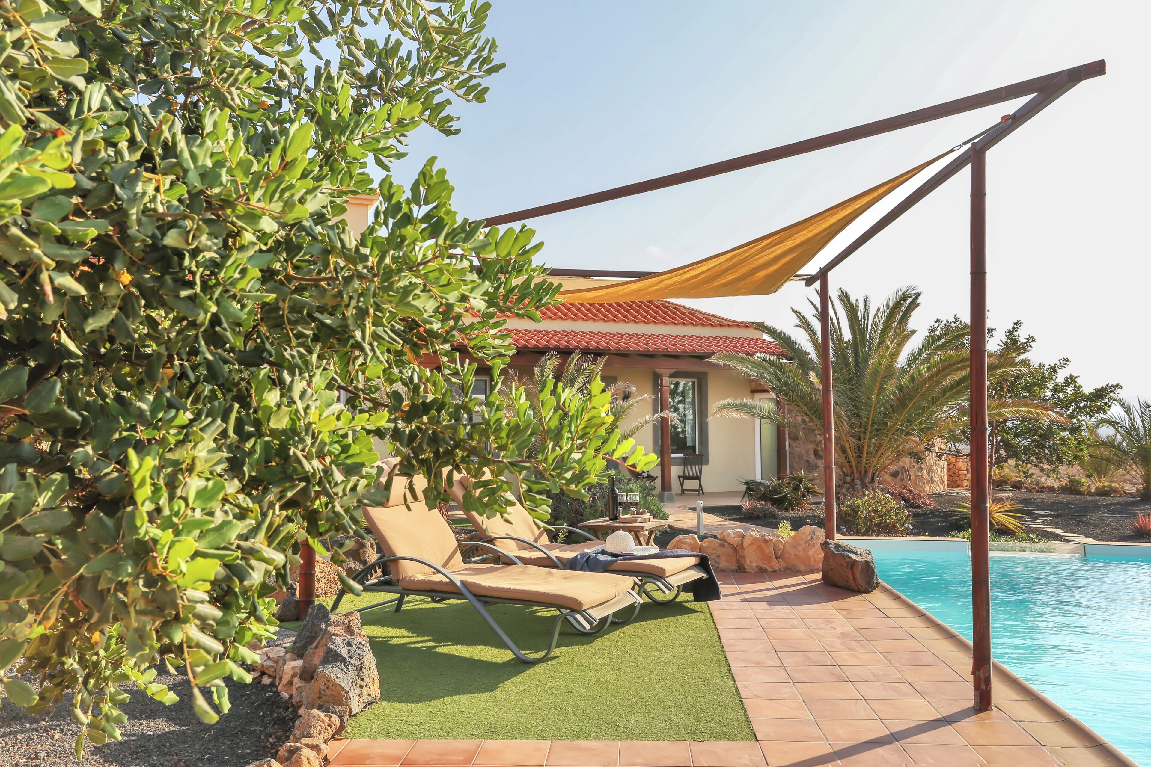 A poolside area with lounge chairs, a pergola, and a house in the background.