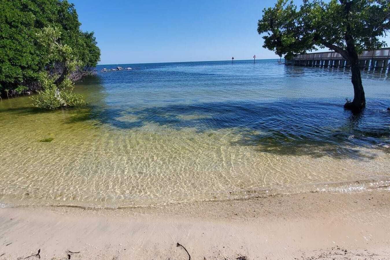A beach with clear shallow water, a sandy shore, and trees.