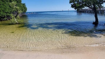 A beach with clear shallow water, a sandy shore, and trees.