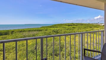 A balcony with a view of a lush green landscape and a calm sea.