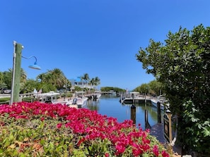 Marina/club náutico