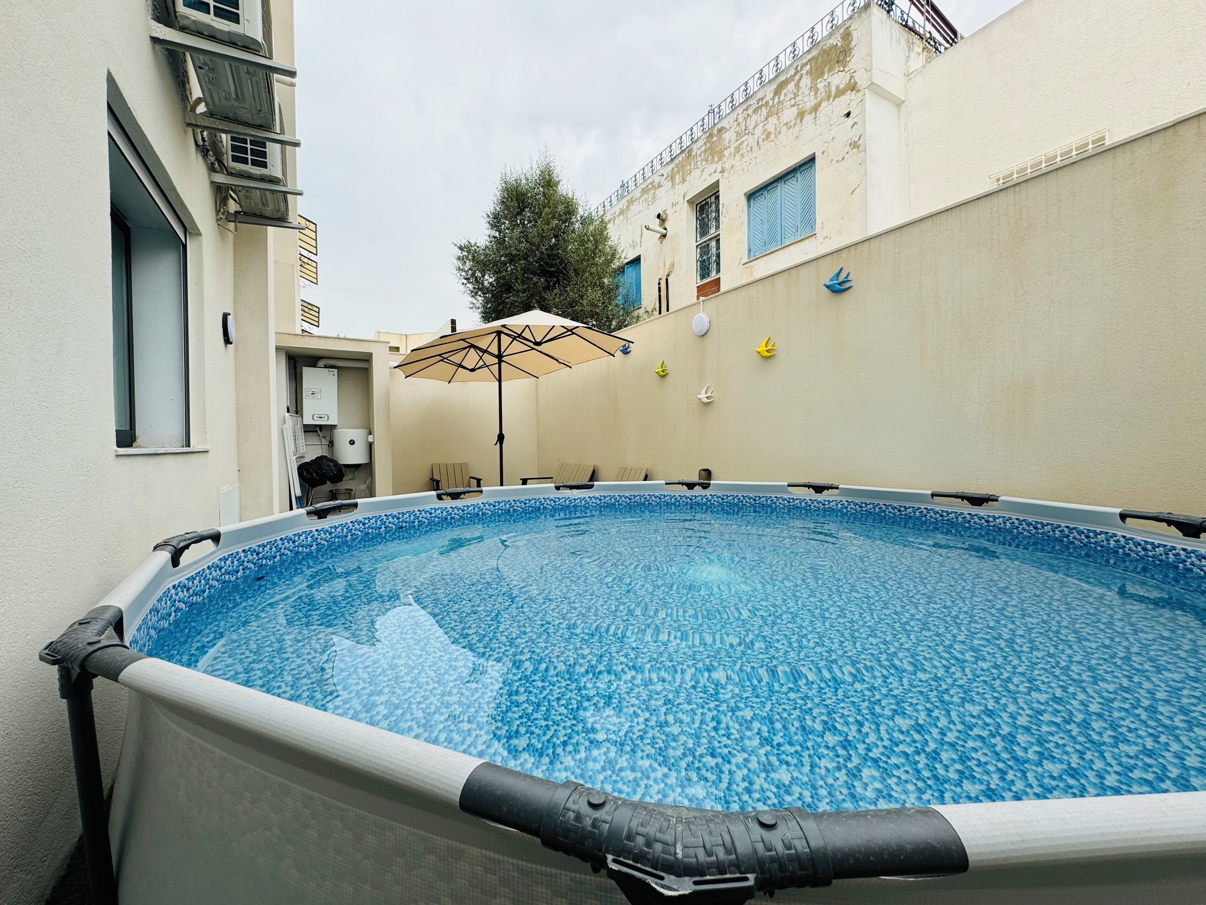 A swimming pool with a tiled deck, surrounded by a beige building with blue shutters and a tree.