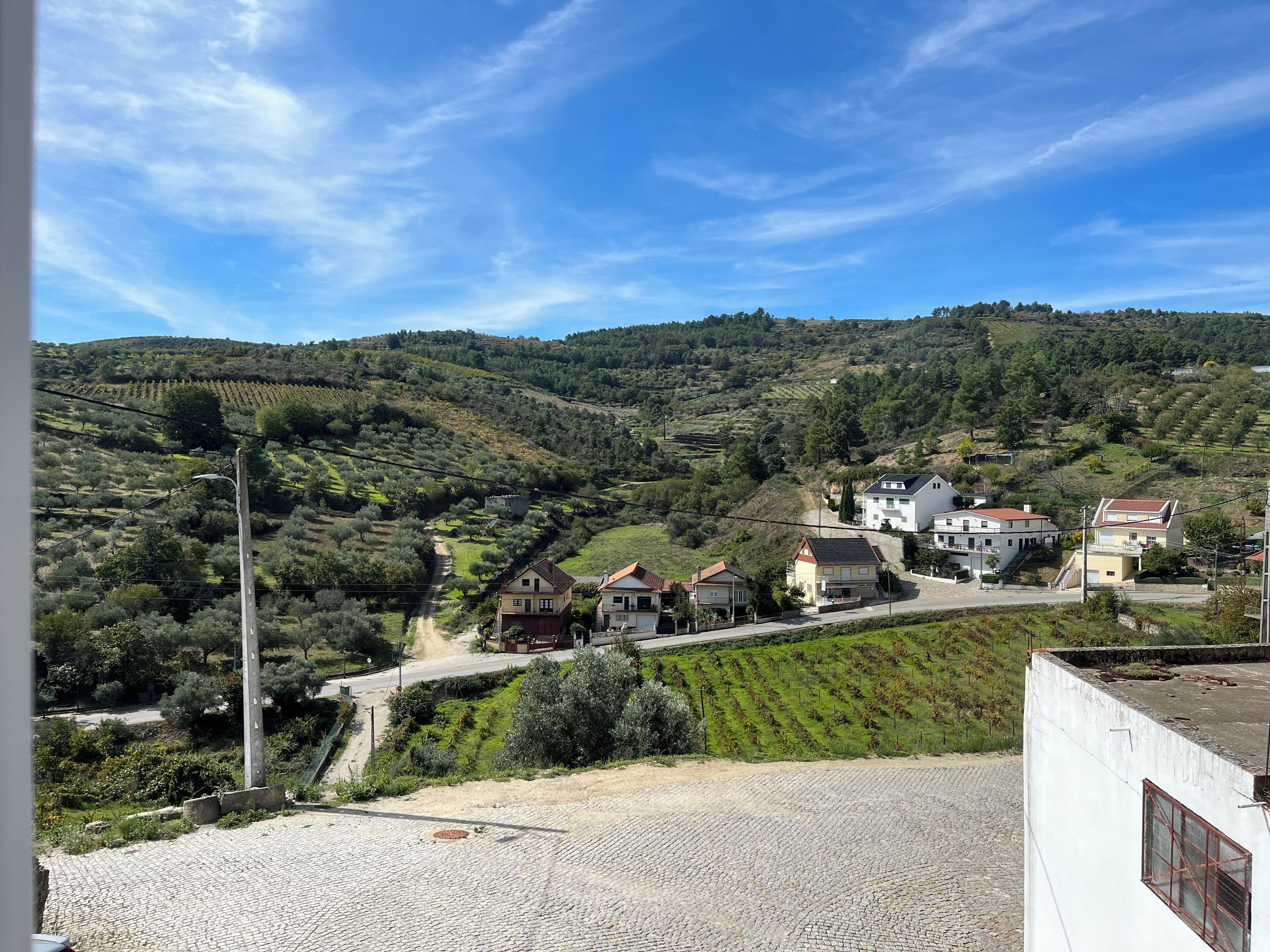 Un pueblo en la ladera de una colina con casas, viñedos y un camino adoquinado.