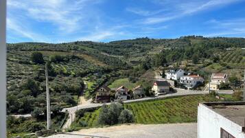 Un pueblo en la ladera de una colina con casas, viñedos y un camino adoquinado.