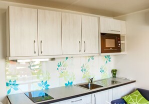 Fridge, microwave, stovetop, spices