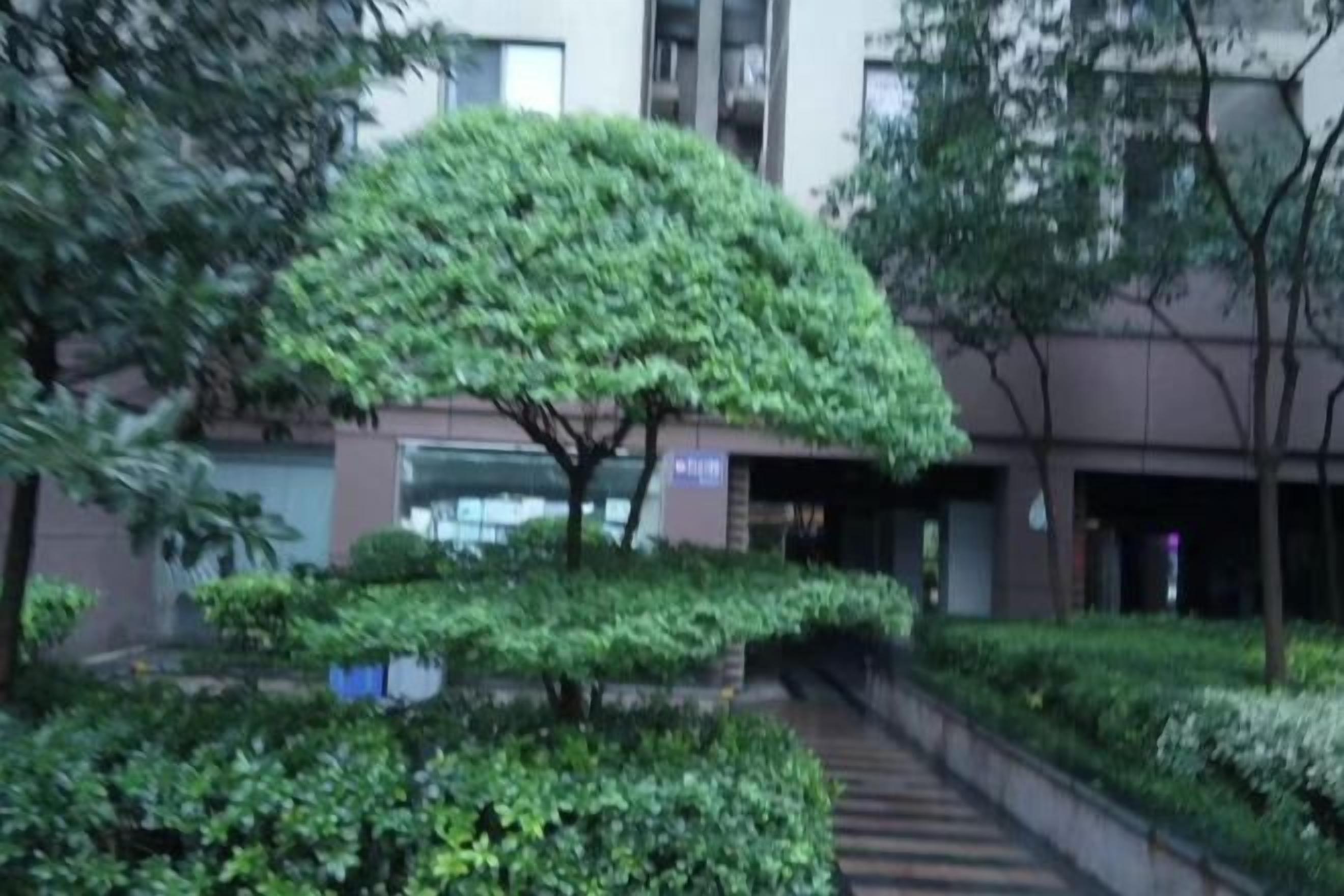 Un edificio con un corredor cubierto y un gran árbol en el centro.