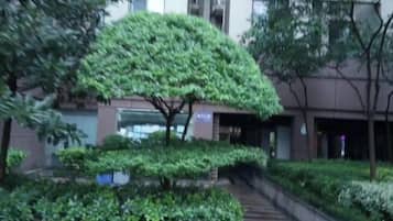 外觀