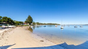 A beach with boats, clear water, and a tree. - The Point 13, 5-7 Mitchell St - stunning water views, complex pool and WiFi (Soldiers Point)