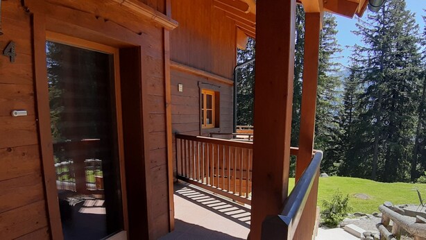 A wooden cabin with a covered porch, a door leading to a room, and a view of a forested area.