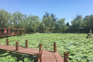 A wooden boardwalk over a pond with lily pads, surrounded by trees and a statue. - Oriental Zeng Hotel (Beijing)