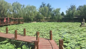 A wooden boardwalk over a pond with lily pads, surrounded by trees and a small pavilion. - Oriental Zeng Hotel (Beijing)