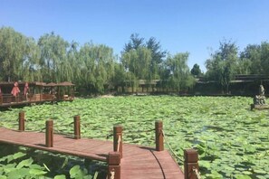 Property grounds - Oriental Zeng Hotel (Beijing)