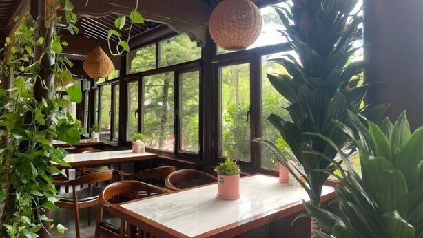 An indoor dining area with wooden tables and chairs, large windows, and hanging plants. - Oriental Zeng Hotel (Beijing)