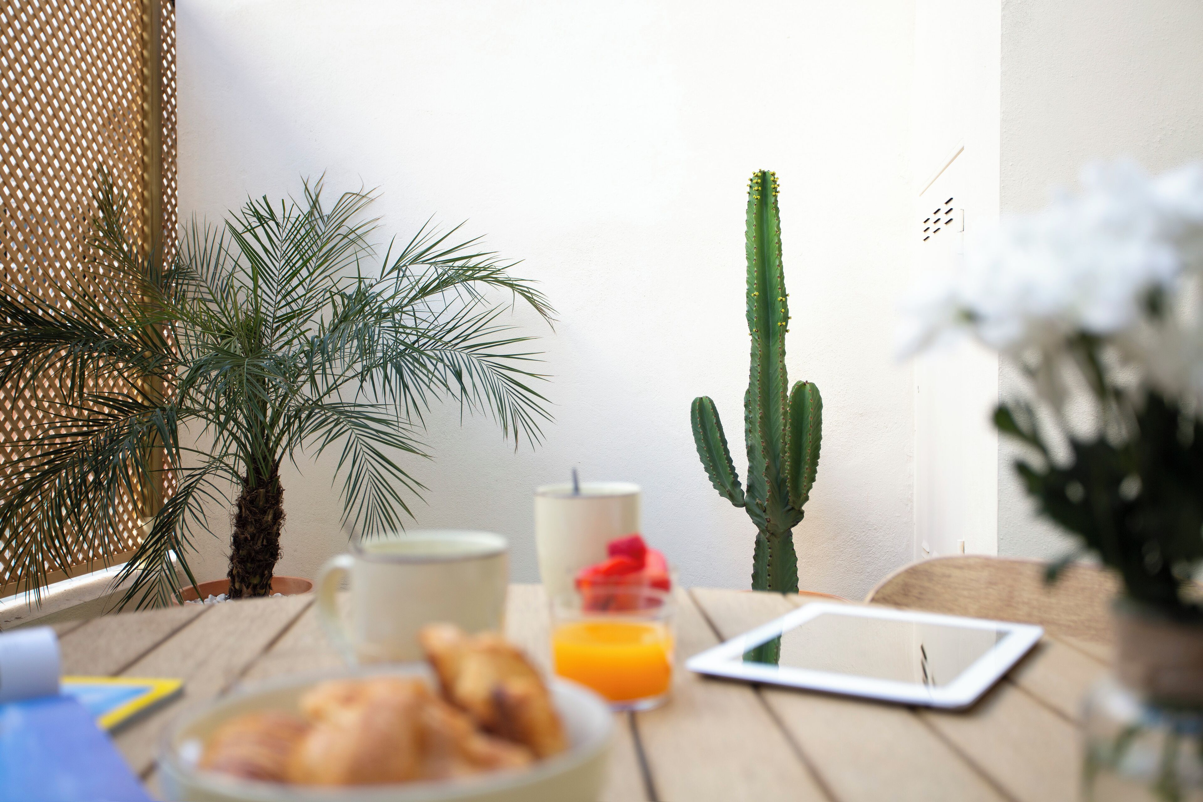 A wooden table with a cactus, a palm plant, a candle, a glass of orange juice, and a tablet.
