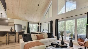 TV, fireplace, offices