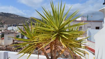 Huis | Terrein van de accommodatie