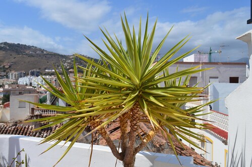 Sunny Hideaway in Almunecar