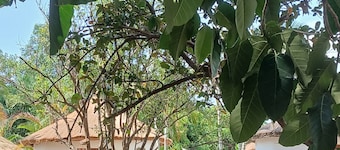 Kijijini Garden View