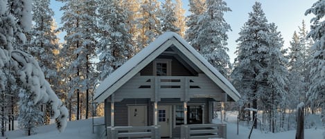 Exteriör