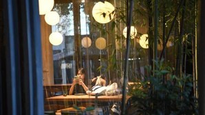 Eine Person sitzt an einem Tisch in einem Raum mit Bambuspflanzen und hängenden, kugelförmigen Lampen.
