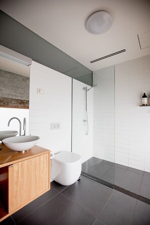 Shower, hair dryer, towels
