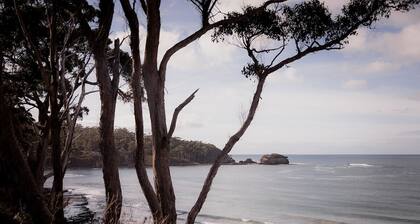 Eaglehawk Lodge Oceanview retreat on Pirate Bay