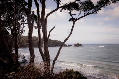 Eaglehawk Lodge Oceanview retreat on Pirate Bay