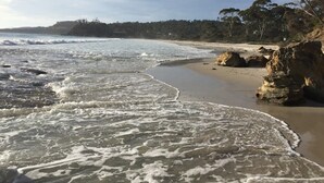 A beach with waves, sandy shore, and trees.