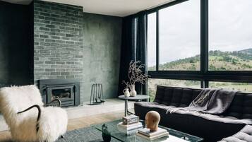 TV, fireplace, offices