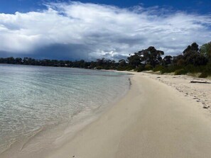 A beach with clear water, sandy shore, and trees in the background.