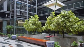 A modern indoor space with glass walls, potted plants, and a checkered floor.