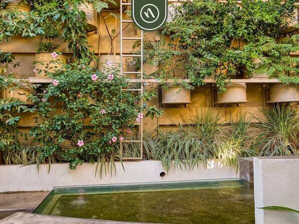 Apartment, Accessible - The Ava 16 in Jalisco (Puerto Vallarta)