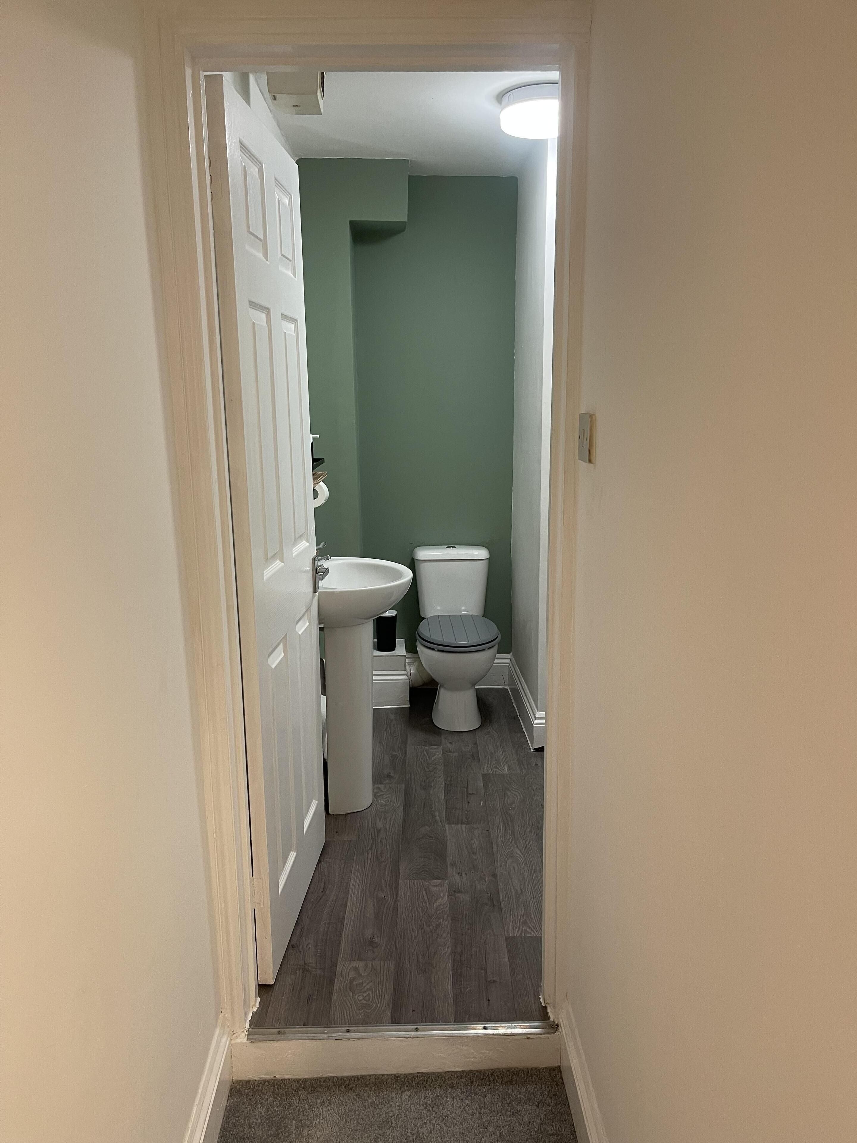 A narrow hallway leading to a bathroom with a toilet, sink, and green walls.