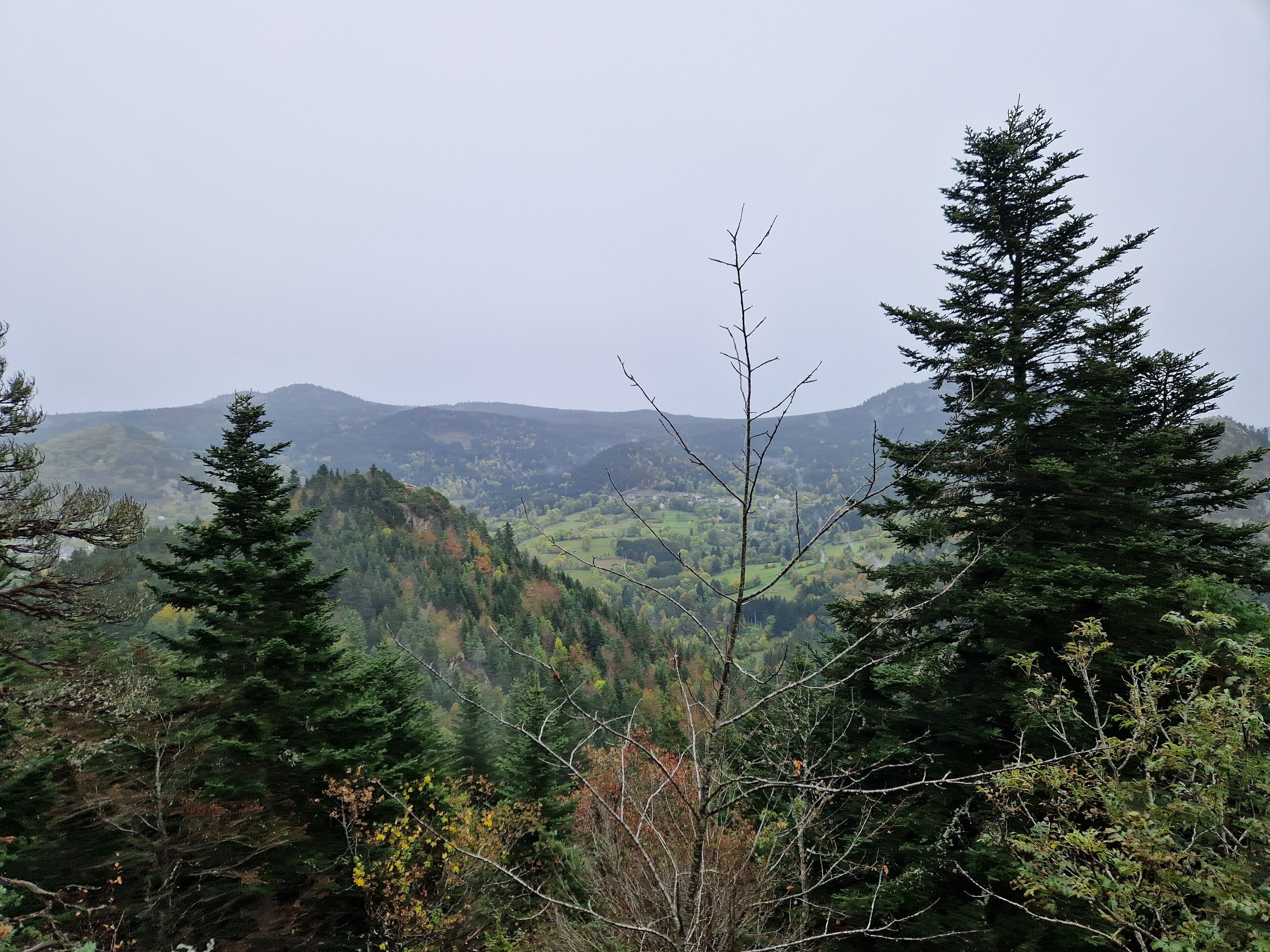 A mountainous landscape with dense forests and a clear view of the valley below.