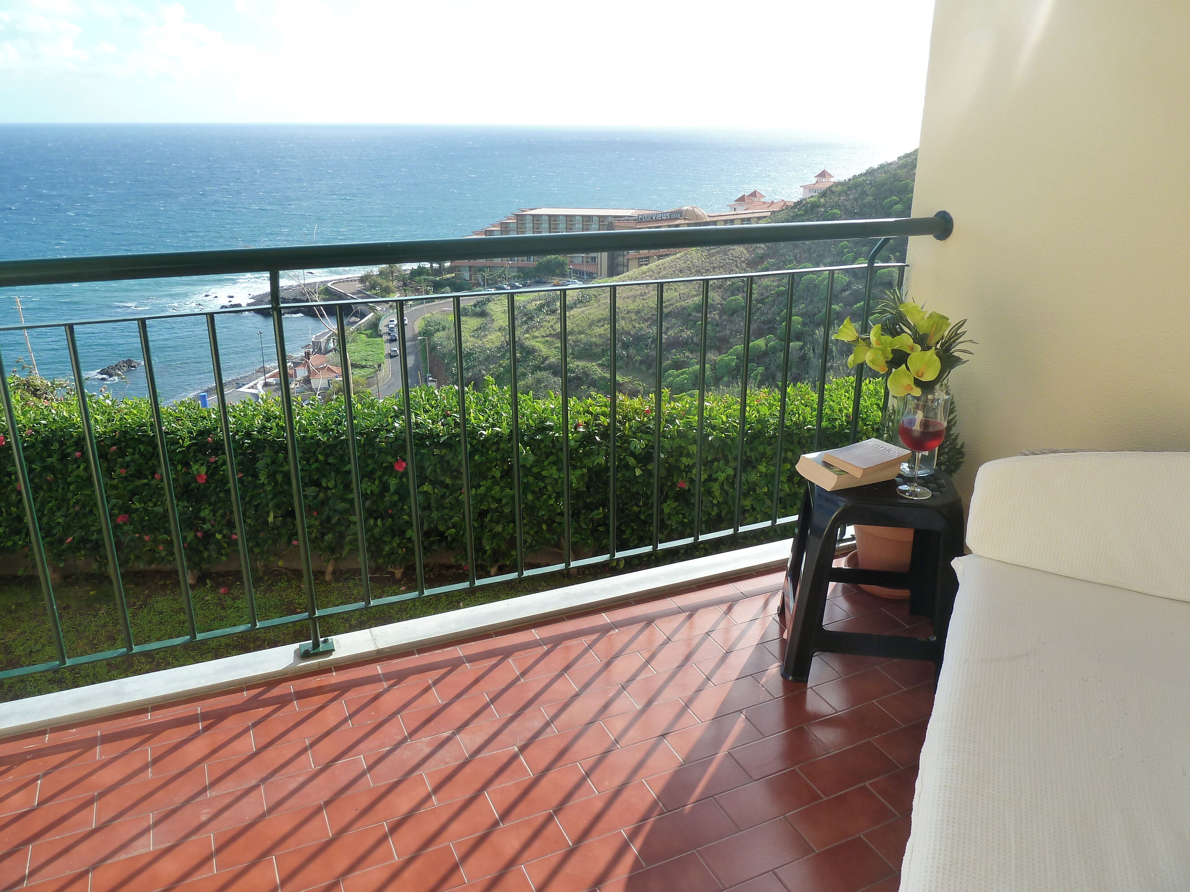 A balcony with a view of the ocean, a potted plant, and a small table with a book and a glass of red wine.