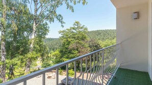 Un balcon doté d’une balustrade en métal, donnant sur un paysage boisé.