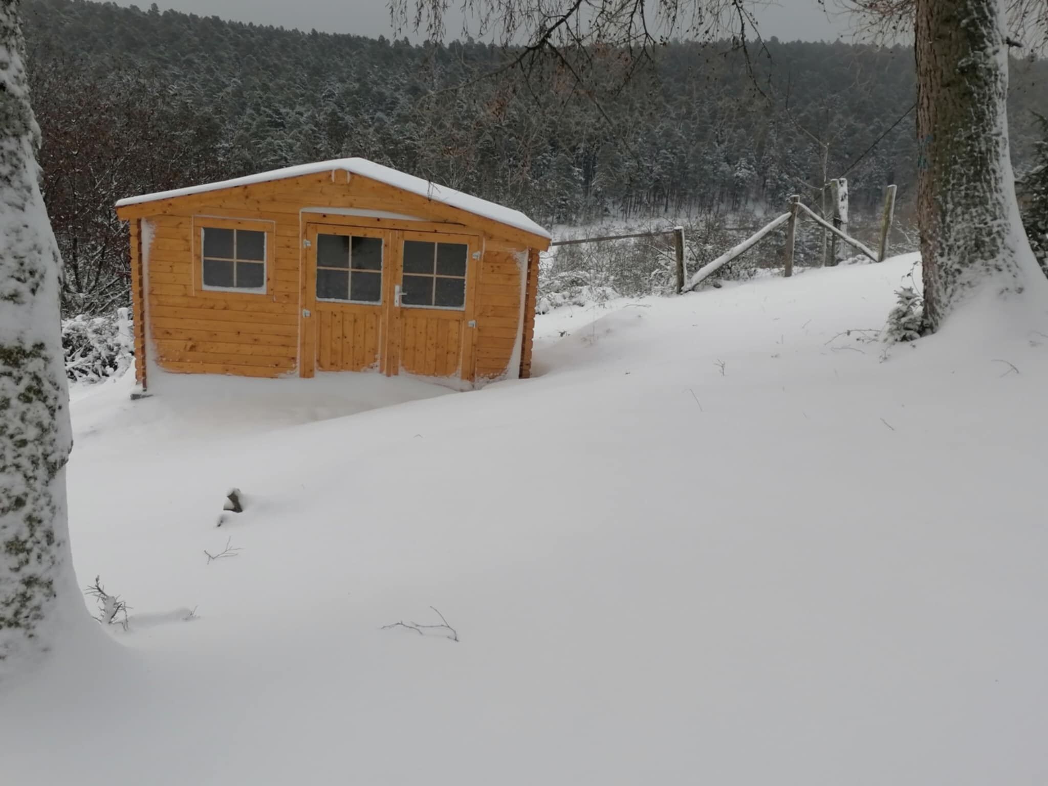 En stuga av trä med två dörrar och fönster, omgiven av snötäckta träd och ett staket.