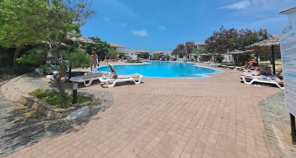 Tortuga Beach Apartment Oasis