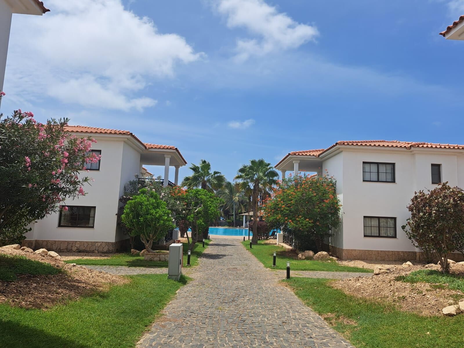 A pathway leading to a pool area surrounded by white buildings with red-tiled roofs, palm trees, and flowering bushes.