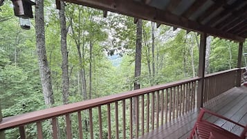 Terrain de l’hébergement