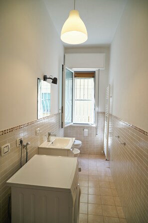 Shower, hair dryer, bidet, towels