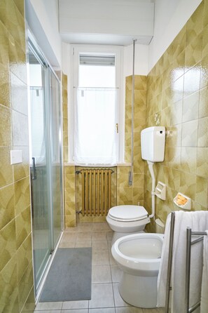 Shower, hair dryer, bidet, towels